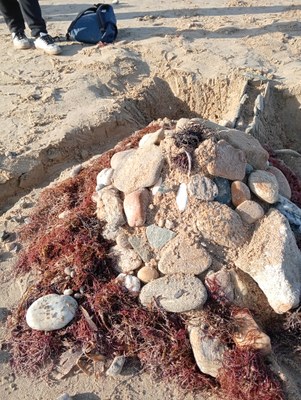 land art plage (2)