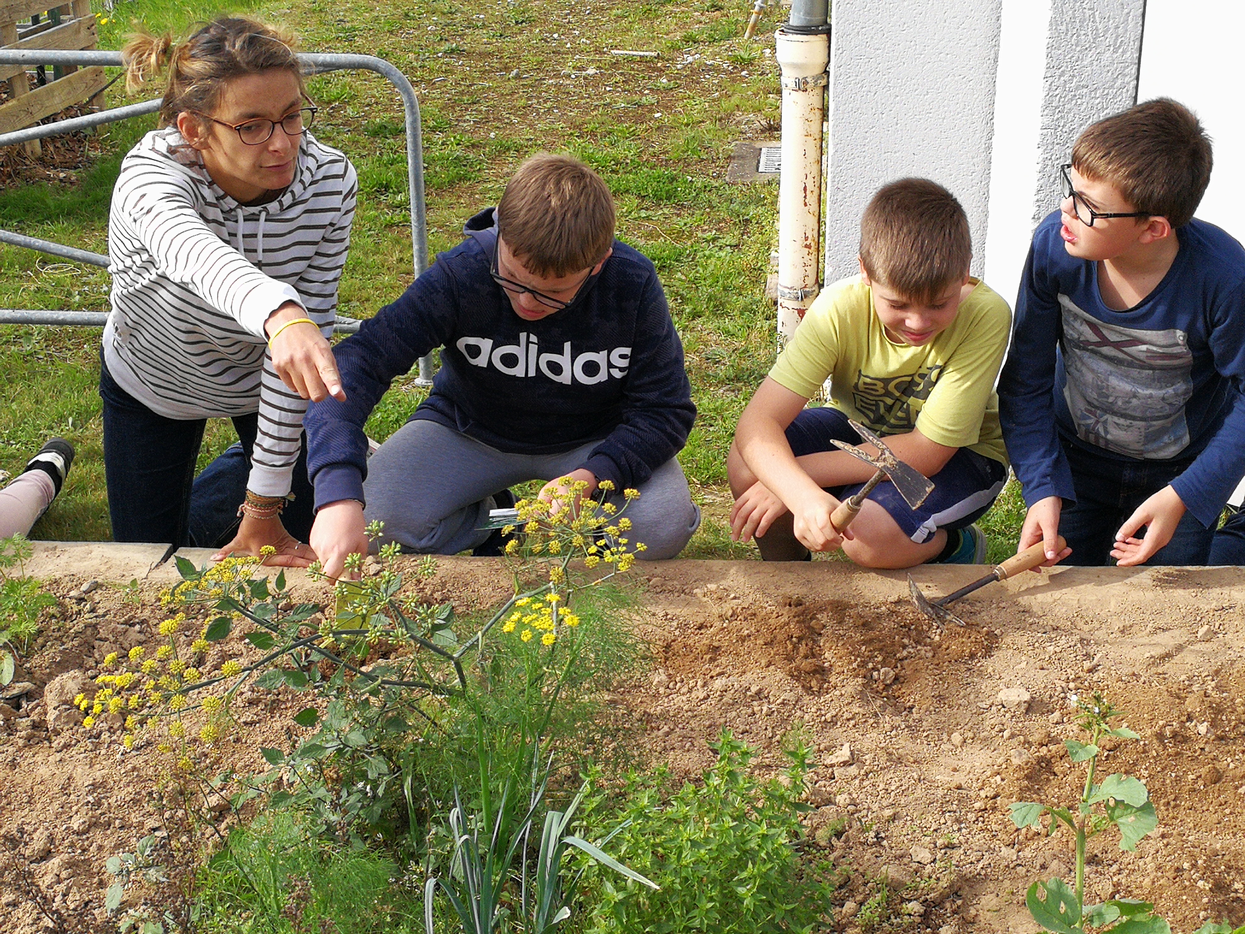 potager