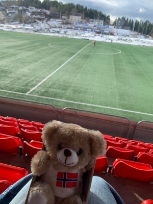Norvège mascotte dans stade foot