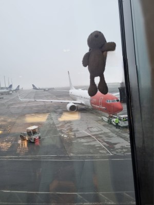 Norvège mascotte et avion
