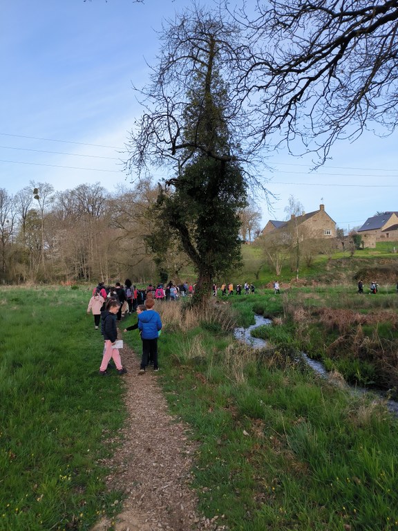 randonnee-eco-pour-les-eleves-de-lelementaire