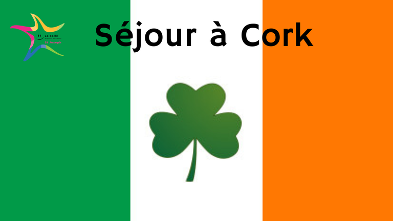 sejour-pedagogique-a-cork-irlande
